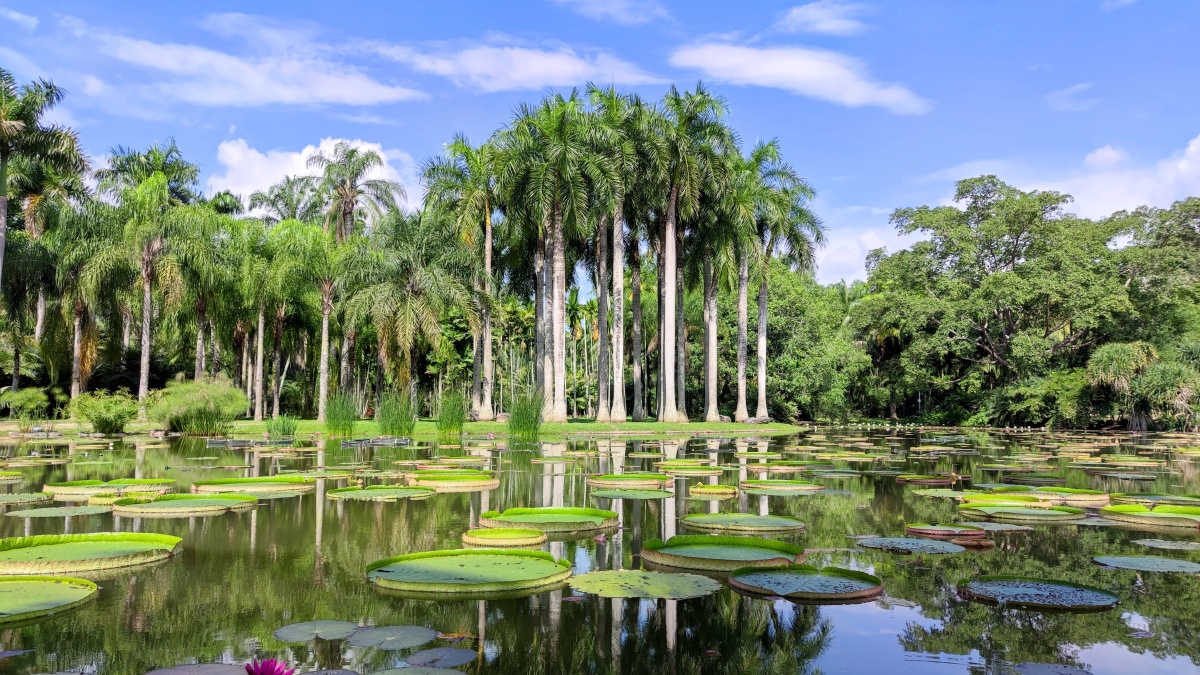 西双版纳的风景可谓一绝除了热没其他问题