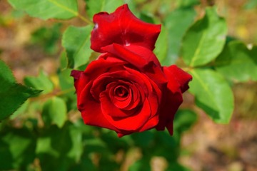 001