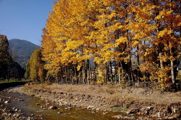 DSC08448_