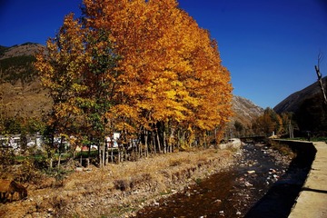 DSC08454_