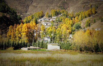 DSC08471_