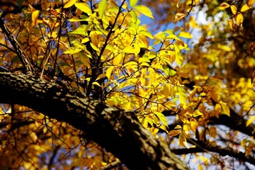 DSC08592_