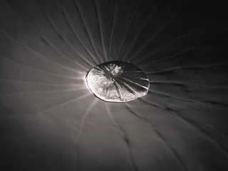 CF1EF396-FFB1-42AB-9374-9A5395C1520F/L0/001