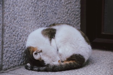 A3913460-2DA5-49C2-B730-947F774A028B/L0/001