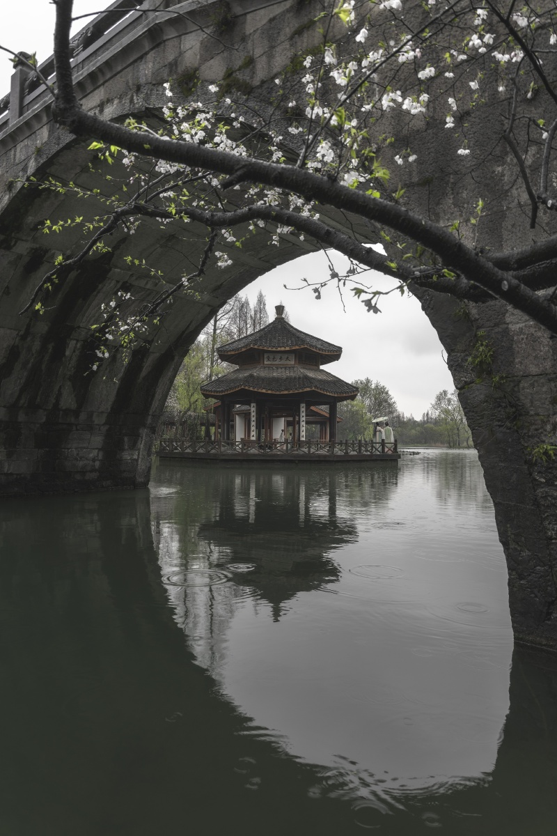 黛色参天 - luxiangzhu - 图虫