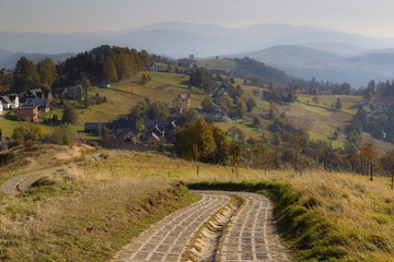 DSC00785_