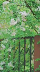 5AE307AB-41AD-45C9-8326-1B28DAD540E0/L0/001