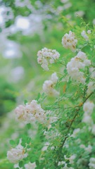 4E9085DC-B7B1-4568-97F0-10886688BC76/L0/001
