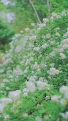 AF31A7F8-8981-460D-9140-6B5C6177AD52/L0/001