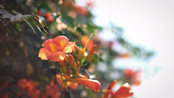 90C043EA-0D13-4332-A4F9-693C46CC8483/L0/001