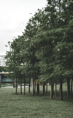364419