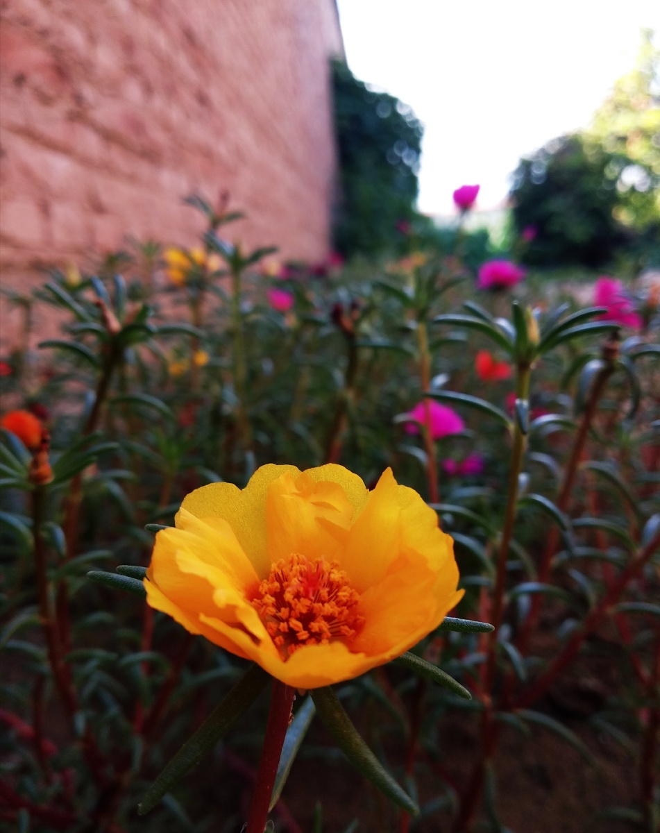 凌晨六点的我关注