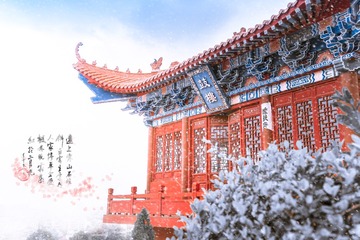 DSC00046-编辑-编辑