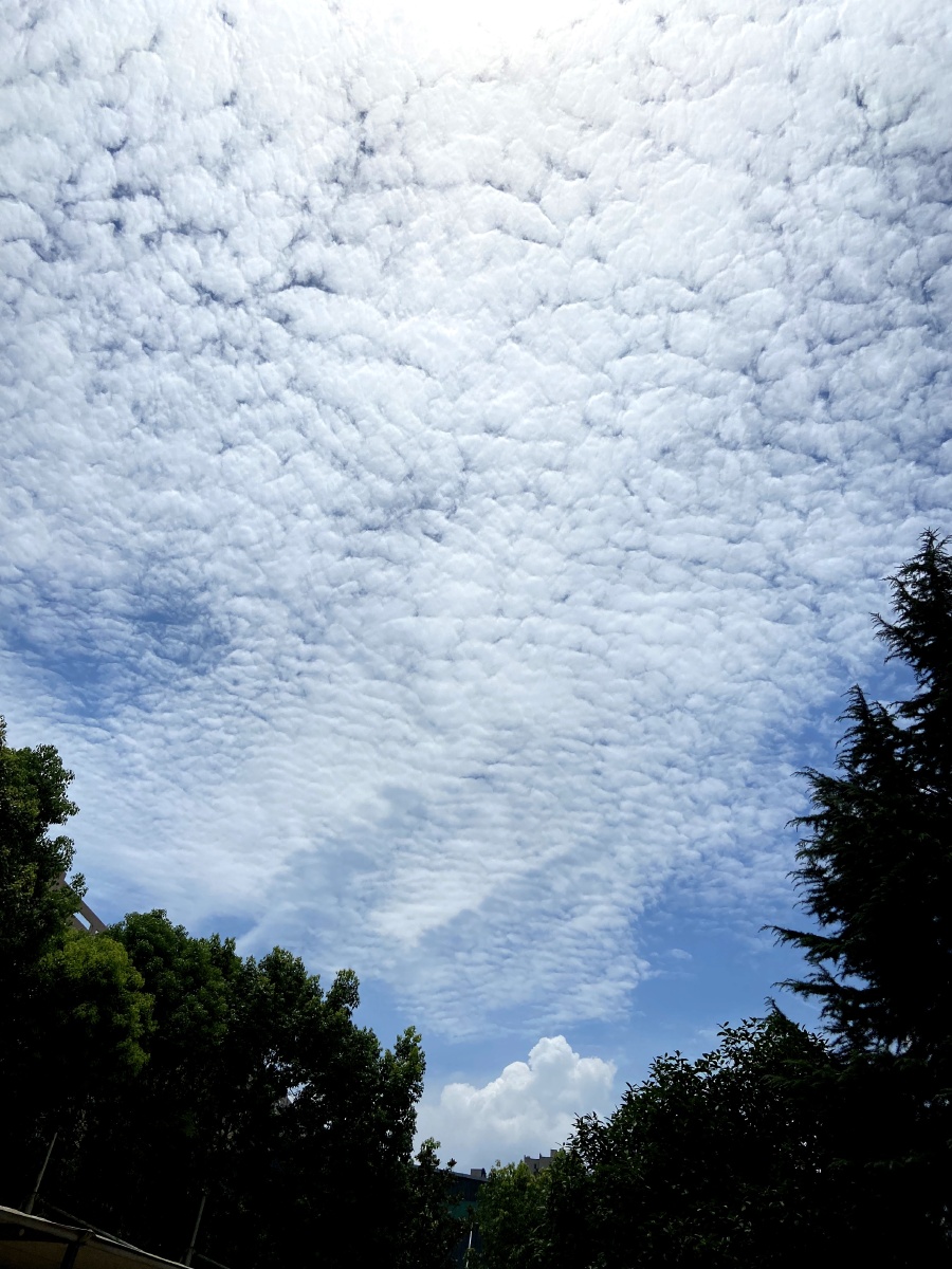 今日晴空万里层层叠叠的云