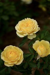 215EE356-91DD-485F-BFF2-3B58C93A9316/L0/001