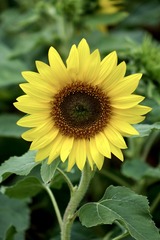 77708475-1DCD-4F5C-B8D4-E0CA5FE9B90E/L0/001