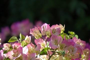 EF50D284-D89E-4228-9B3A-2AF1443E7FDF/L0/001