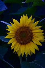 001
