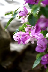 14CE953F-2FF9-47C1-BCD9-4EC7F7F4E296/L0/001