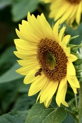 32F996B4-B870-4F33-860E-035148FD8373/L0/001