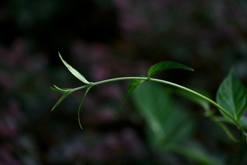 0B72C9E2-D9AE-4525-A149-DDED34E20766/L0/001
