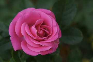 C830FD4E-74DD-44A1-A8F6-3B356245622E/L0/001