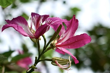 1409D882-B6BB-4FB1-A4D0-7A2F82A690BF/L0/001
