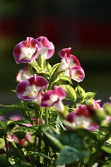 0E0ED137-1031-4407-984B-4B5B1824D355/L0/001