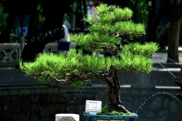 18C3030F-0F92-4E88-A6E8-ABD4D80F1FD7/L0/001