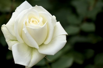 16CCDE4E-A39D-45A0-8281-6A2AC1D0560B/L0/001