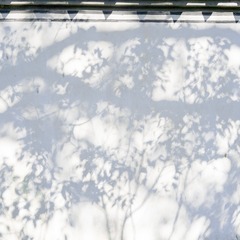 420F0085-897F-4D16-BCA4-7BD6534C6E0B/L0/001