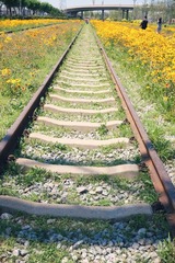 521B5B73-68DD-4684-93BD-C5E2EC264625/L0/001