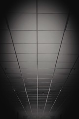 Optional(