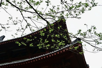 B0A04061-1768-452D-B6ED-62929B346A9E/L0/001
