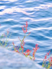 E8454AF6-6989-4371-A9A4-F186974EC02E/L0/001