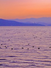 12F59941-0DD4-4137-8412-A23950D4A1FC/L0/001