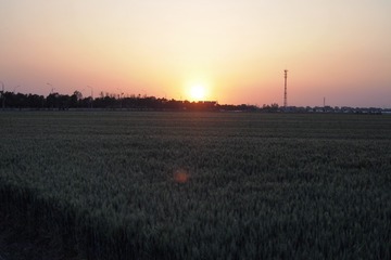 1000246474