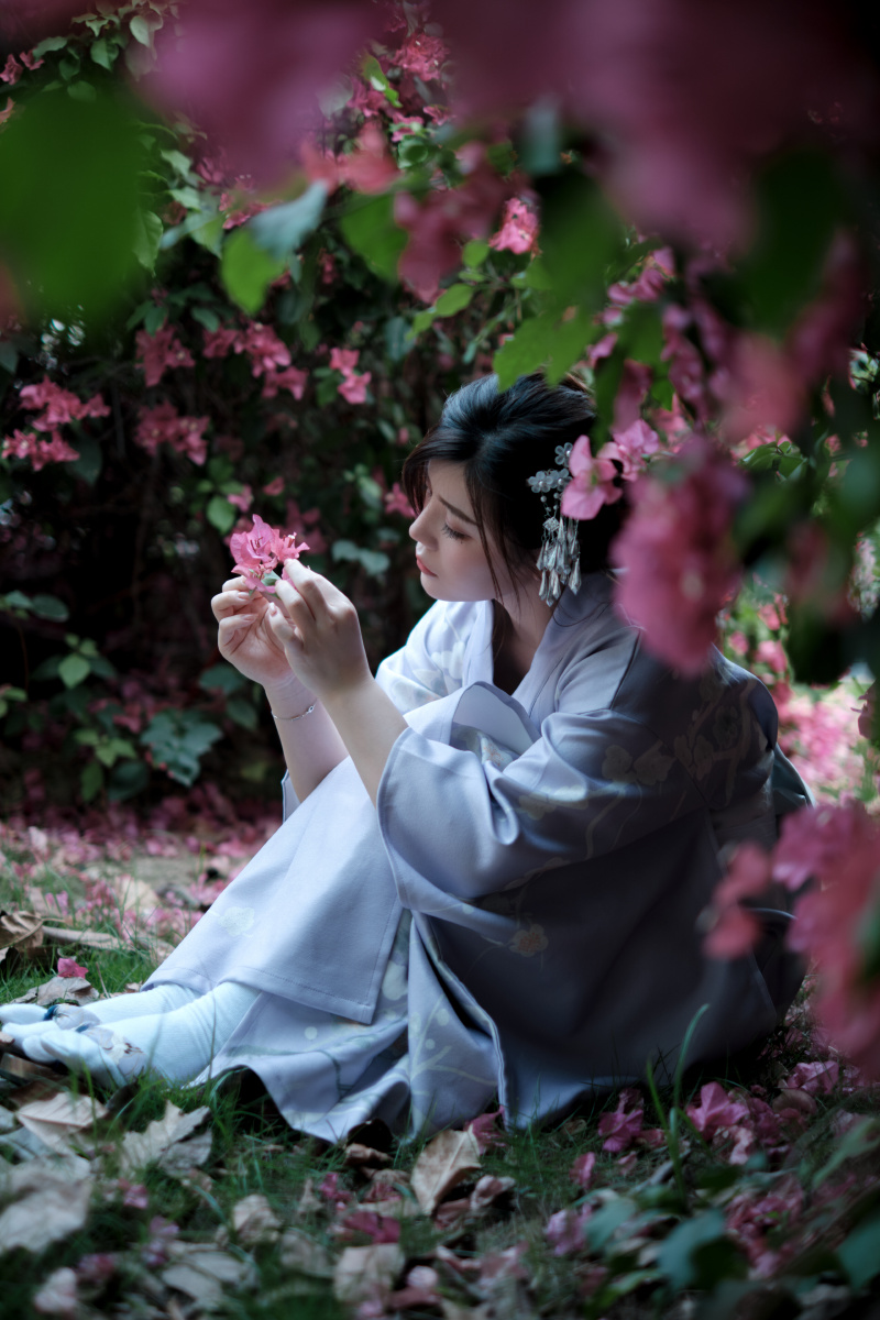 花与少女三角梅和服写真