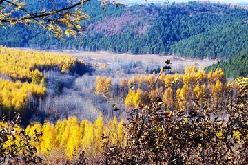 五花山
