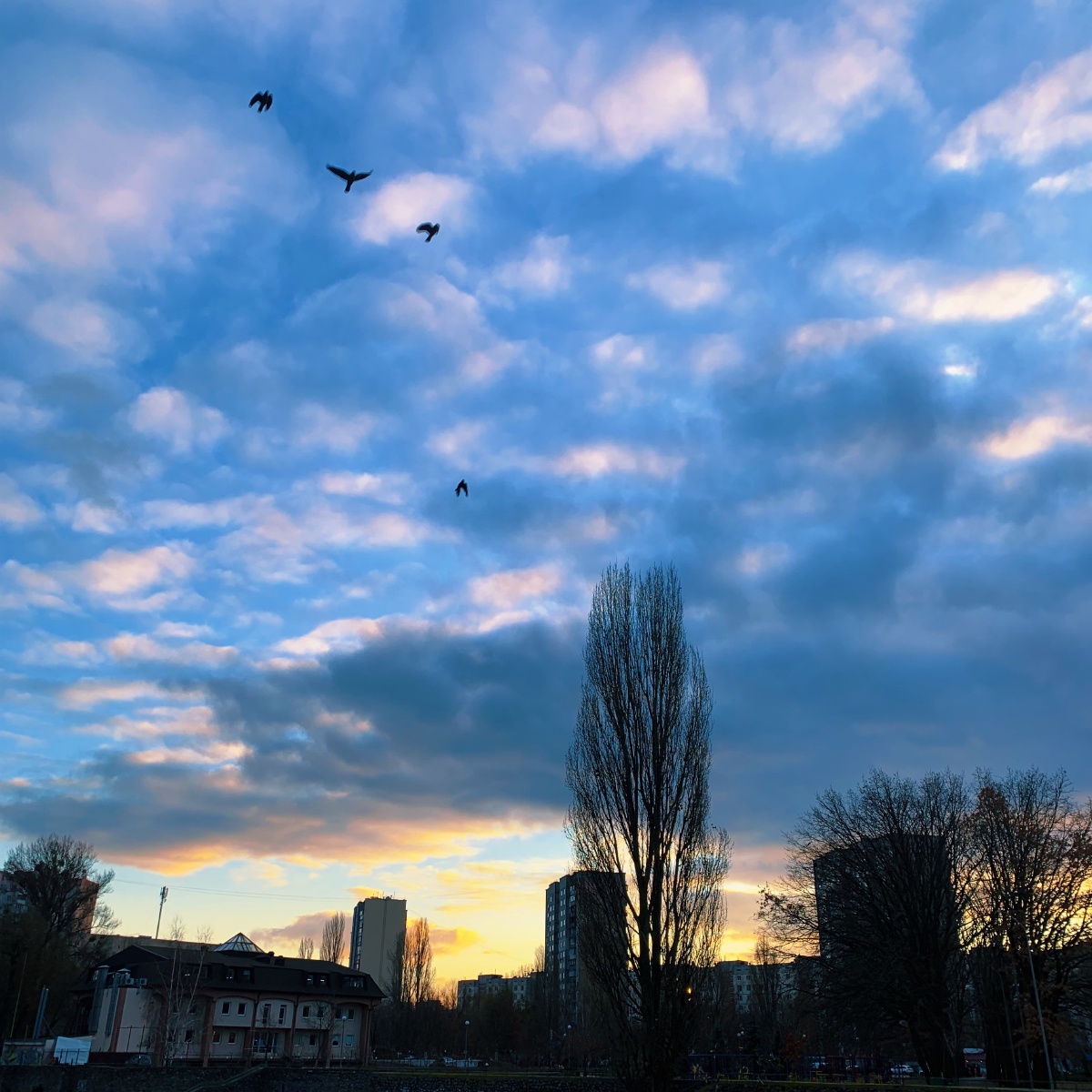 这些年拍的乌克兰的天空 - swallow127 - 图虫