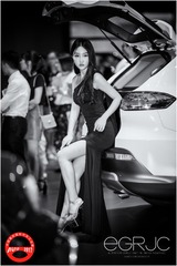_DSC5595