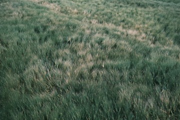 D3554465-BEFE-4DFC-8E79-778D3C01832E/L0/001