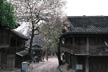 4CF08EA8-8170-4D97-958D-137AB0F56D3A/L0/001