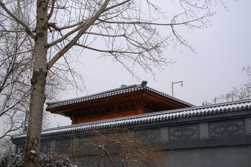 7CD33C1D-40D3-4B26-A94B-3A3C4185F91D/L0/001