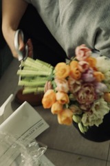 043A7ABE-3F0B-4D82-8130-D06F94F82072/L0/001