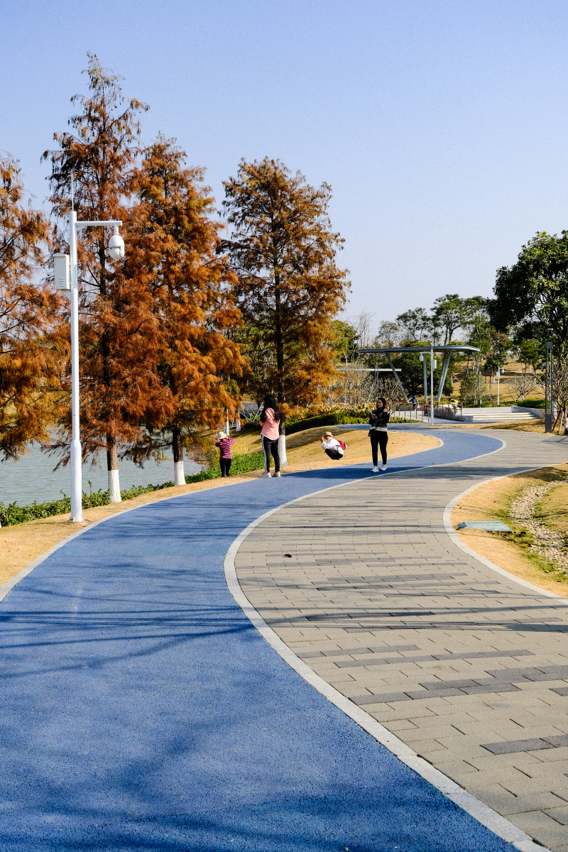 广东冬天的颜色