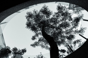 3659