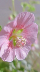 5208F6B6-0AB1-4EBC-8AB8-CA609B664023/L0/001
