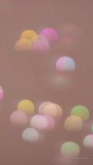 03F9BF1B-824D-40D5-A3C3-B4859A0D79BC/L0/001