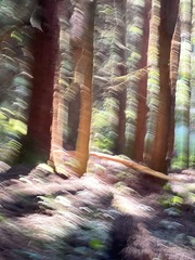 1AD0C1FF-8F02-40AC-B50C-2194AEE4AB7C/L0/001